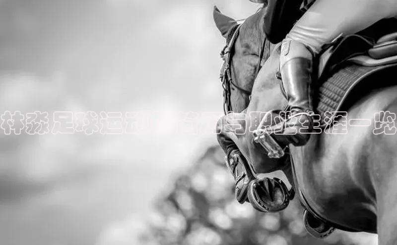 谈球吧平台app百度人工翻译林淼足球运动员简历与职业生涯一览