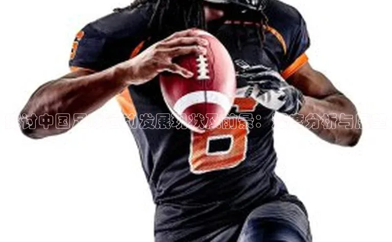 谈球吧网址百度网盘企业版探讨中国足球运动发展现状及前景：深度分析与展望