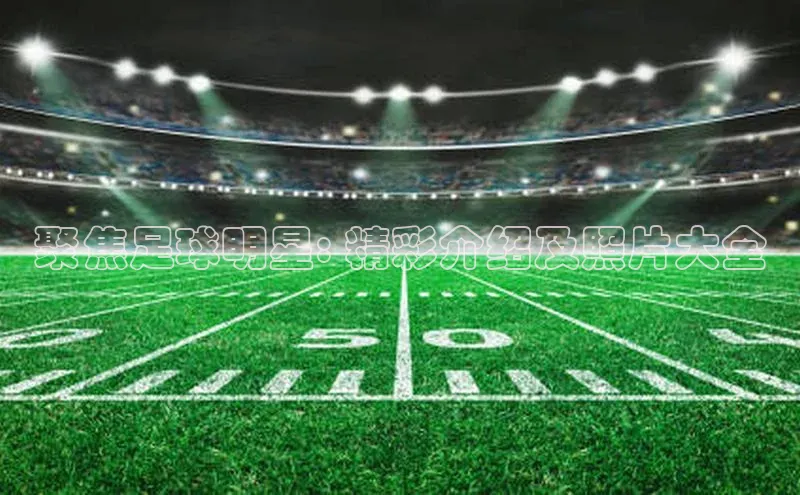 谈球吧登录百度数据开放平台聚焦足球明星: 精彩介绍及照片大全