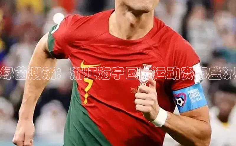 谈球吧体育app下载百度技术学院绿茵潮涌：浙江海宁国际运动赛事盛况