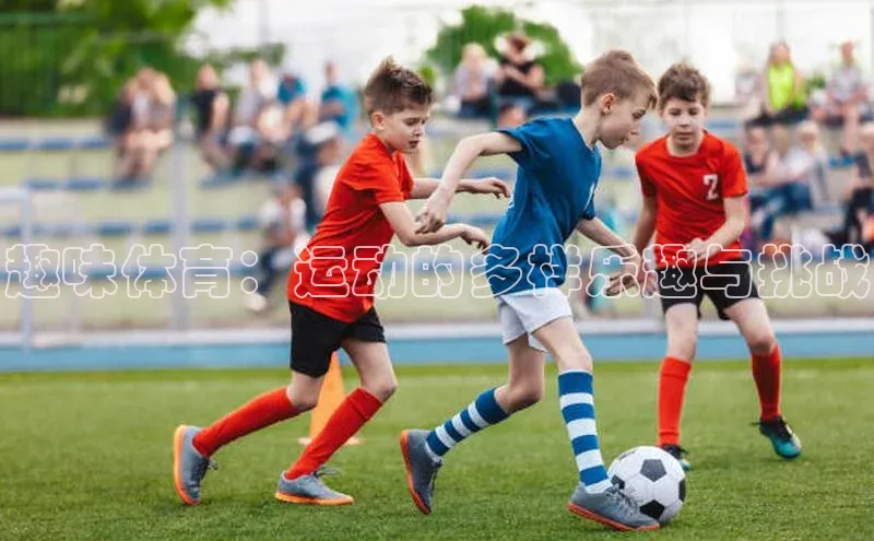 趣味体育：运动的多样乐趣与挑战