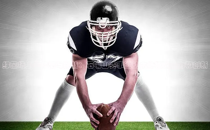 绿茵场上的梦想与挑战：石嘴山赛事运动木地板的魅力和创新