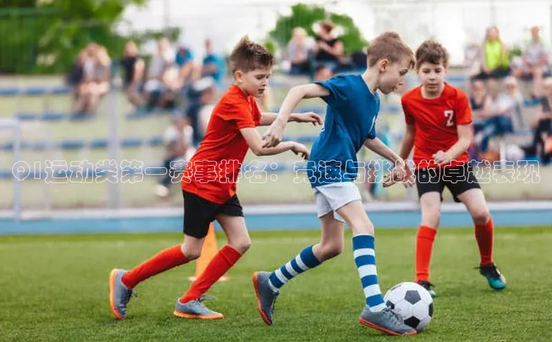 Q1运动类第一赛事排名：竞速与挑战的卓越表现