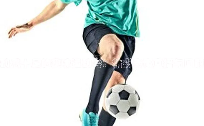 动感十足的趣味运动会：精彩赛事直播与回顾