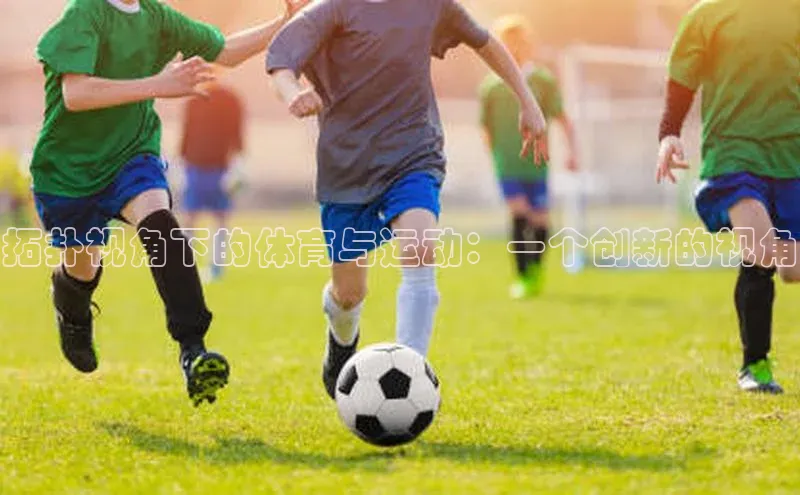 拓扑视角下的体育与运动：一个创新的视角