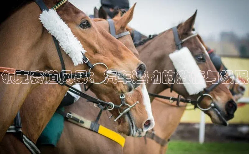领克赛道风暴：汽车运动的激情与极限