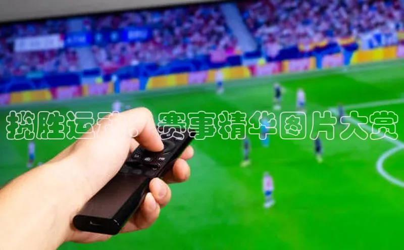 揽胜运动：赛事精华图片大赏