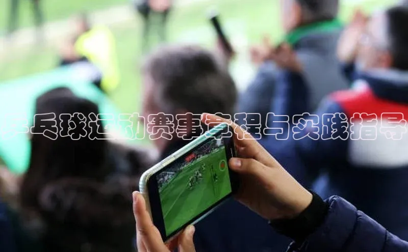 乒乓球运动赛事章程与实践指导